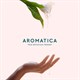 Aromatica (Ю.Корея)