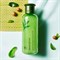 Балансирующий тоник для нормальной и комбинированной кожи Innisfree Green Tea Balancing Skin 10ml - фото 9513